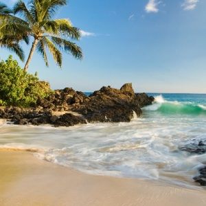 Meet your Posher, Em